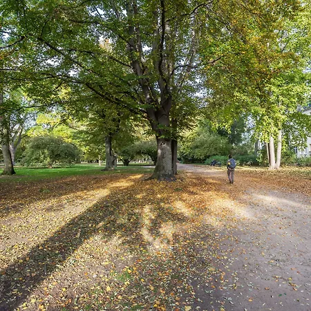 شقة فندقية Limehome Friesenplatz - Digital Access 3*